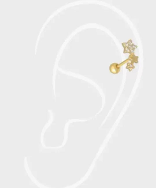 Winther Studio Øreringe^Billo Star Piercing